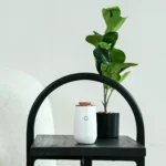 Rezaroma Siri Diffuser