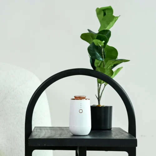 Rezaroma Siri Diffuser