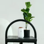 Rezaroma Iris Diffuser