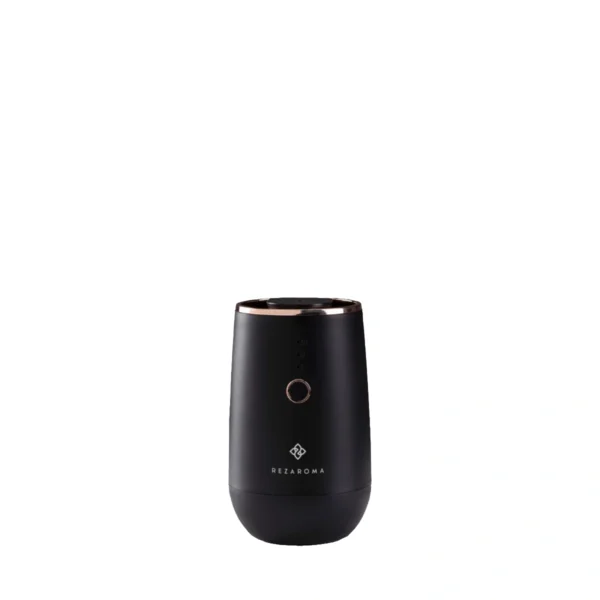 Iris car Diffuser