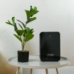 Rezaroma Vera Diffuser