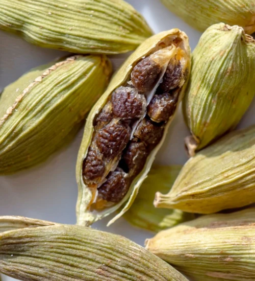 cardamom rezaroma