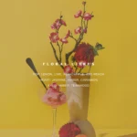 Fragrance Floral Citrus Notes