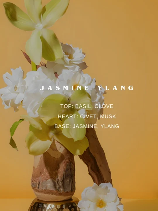 Rezaroma jasmine ylang Notes