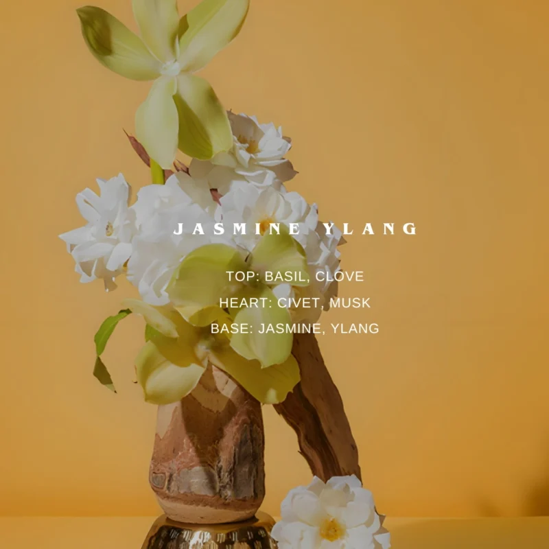 Rezaroma jasmine ylang Notes